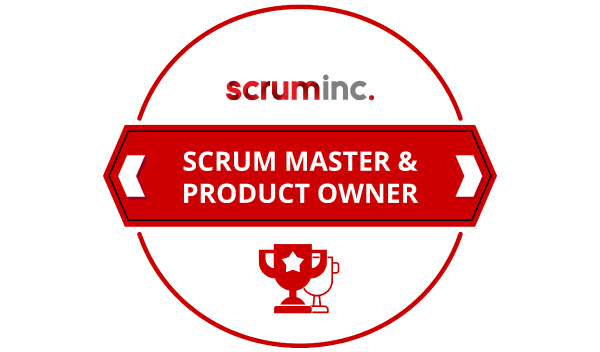 Scrum Master & Product Owner (SMPO) - Value Insights