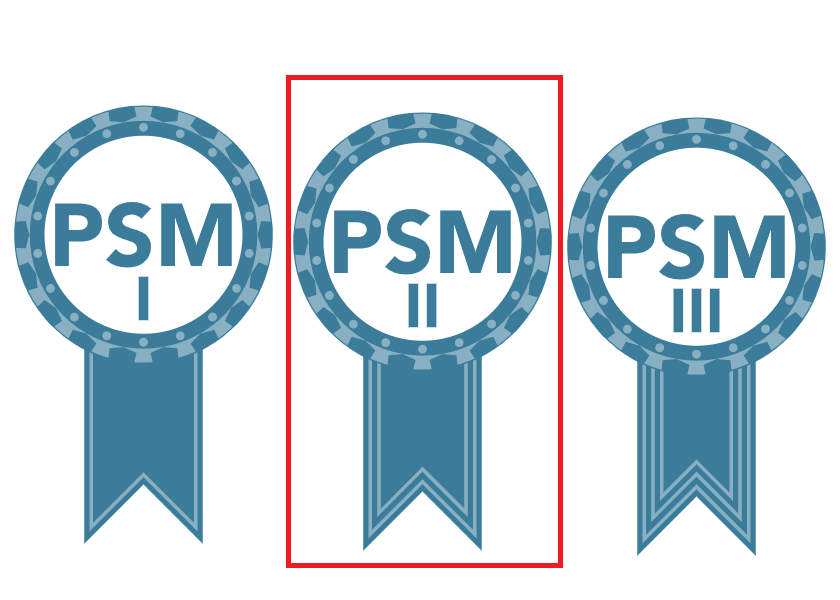 PSM-II Testengine