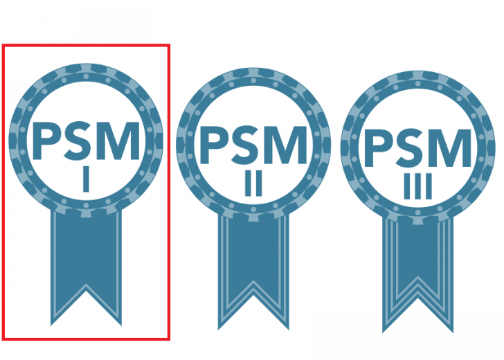 PSM-I Antworten